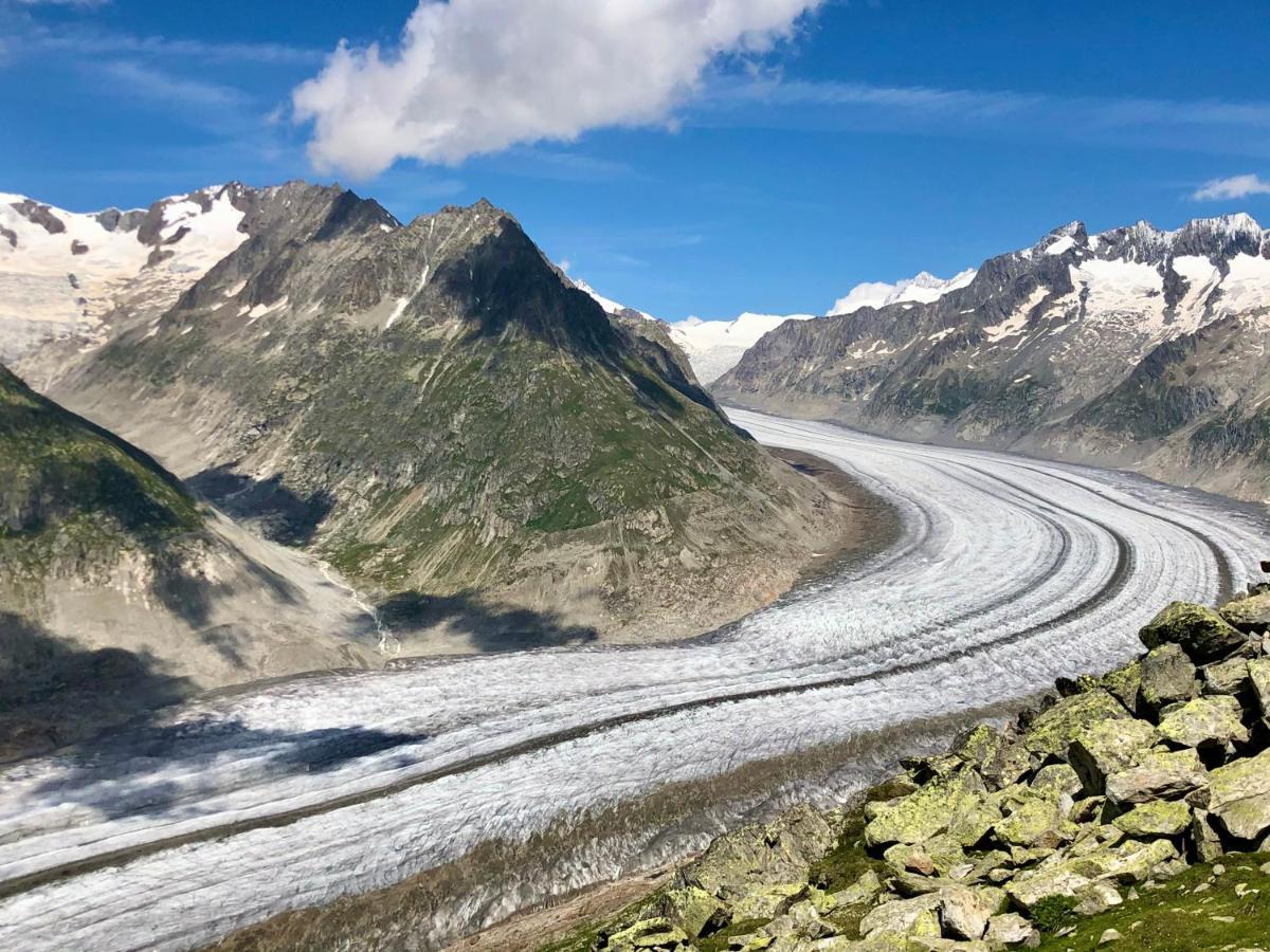 Perle Des Alpes, Bettmeralp, Switzerland エクステリア 写真