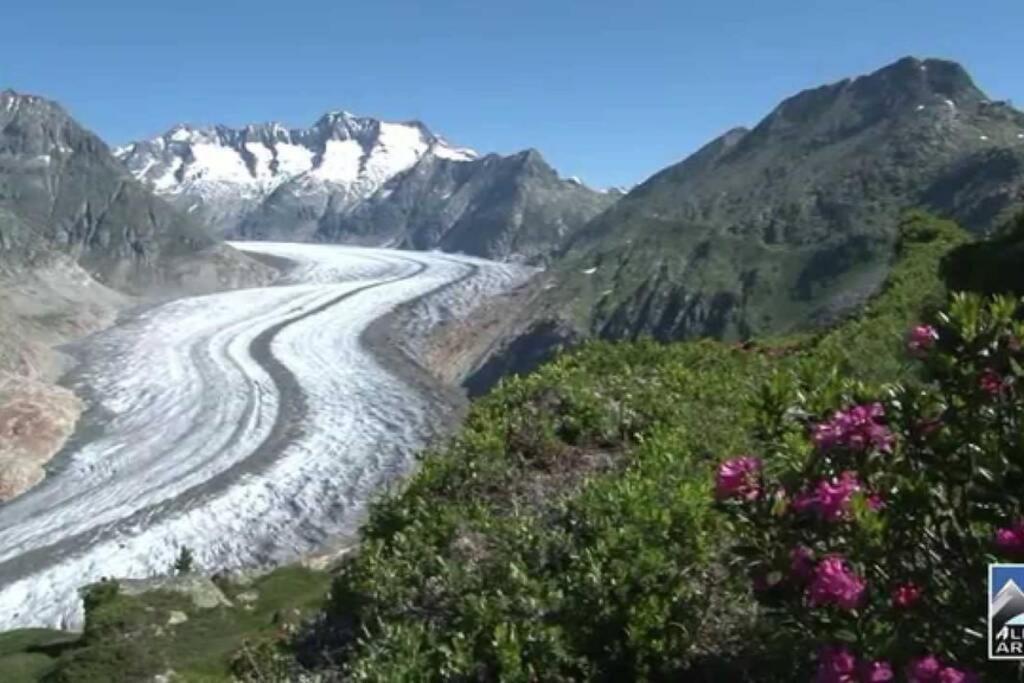 Perle Des Alpes, Bettmeralp, Switzerland エクステリア 写真